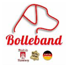 Bolleband